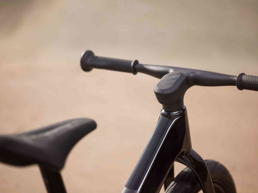 Draisienne Giant Pre rCarbon 